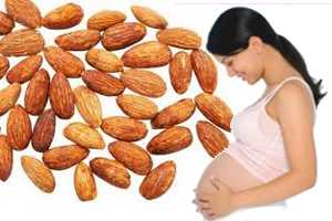 Imagen ilustrativa del artículo Los Beneficios de las Almendras en el Embarazo 