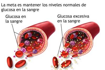 Imagen ilustrativa del artículo Beneficios del Cromo para regular la glucosa en sangre