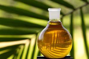 Imagen ilustrativa del artículo El aceite de palma: ¿una grasa peligrosa para la salud?