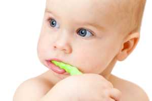 Imagen ilustrativa del artículo Alimentos que alivian el Dolor cuando salen los primeros dientes del bebé